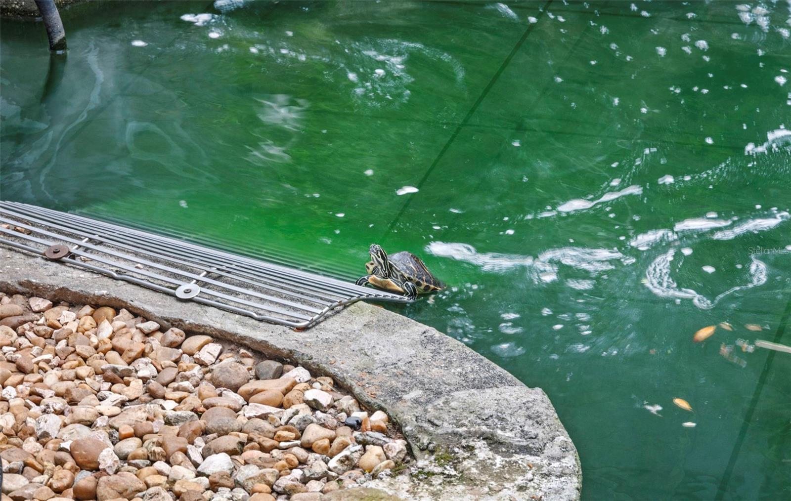 3884 GOSHAWK PL, TITUSVILLE, FL, 32796