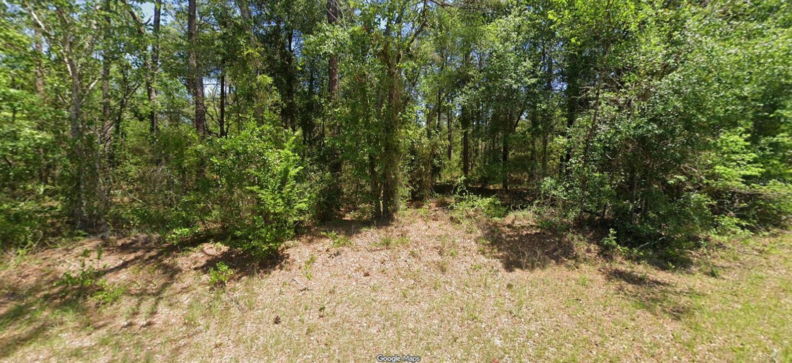 NW BUENA VISTA RD, DUNNELLON, FL, 34431