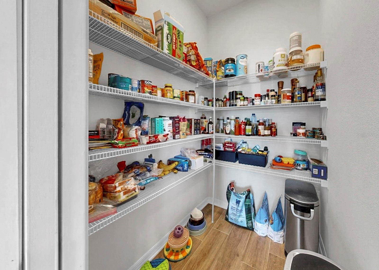 3139 MARINE GRASS DR, WIMAUMA, FL, 33598