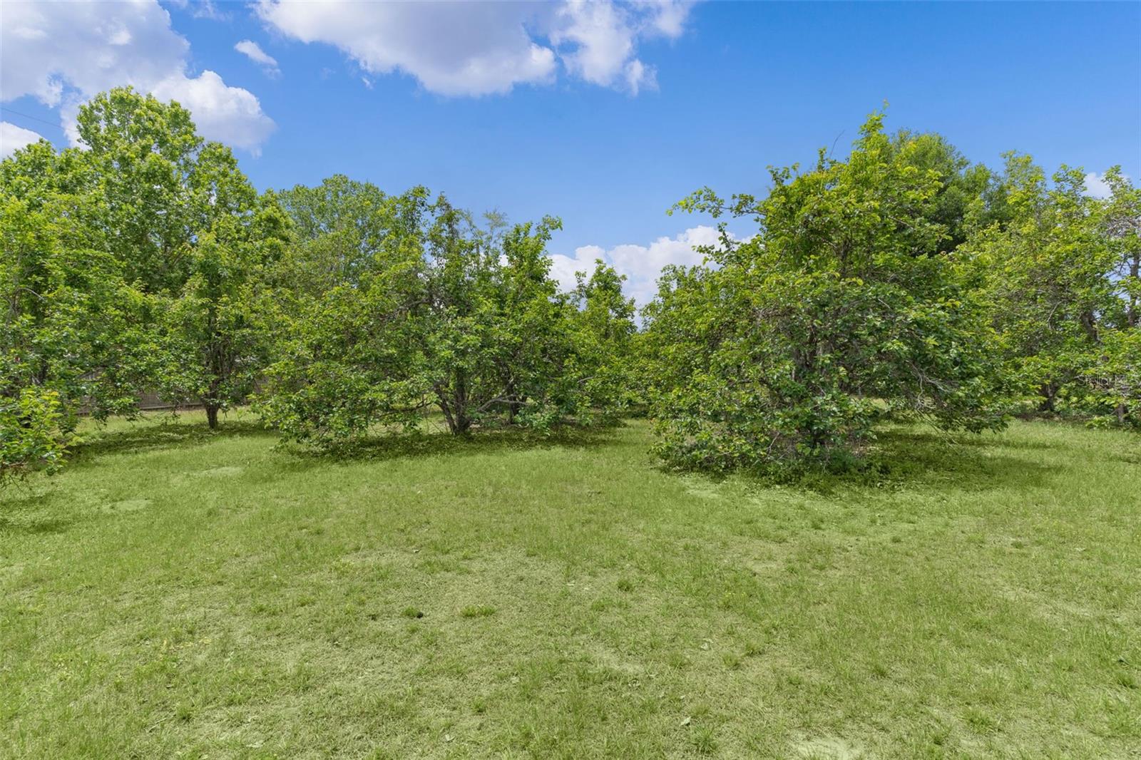 5946 SR 471, BUSHNELL, FL, 33513