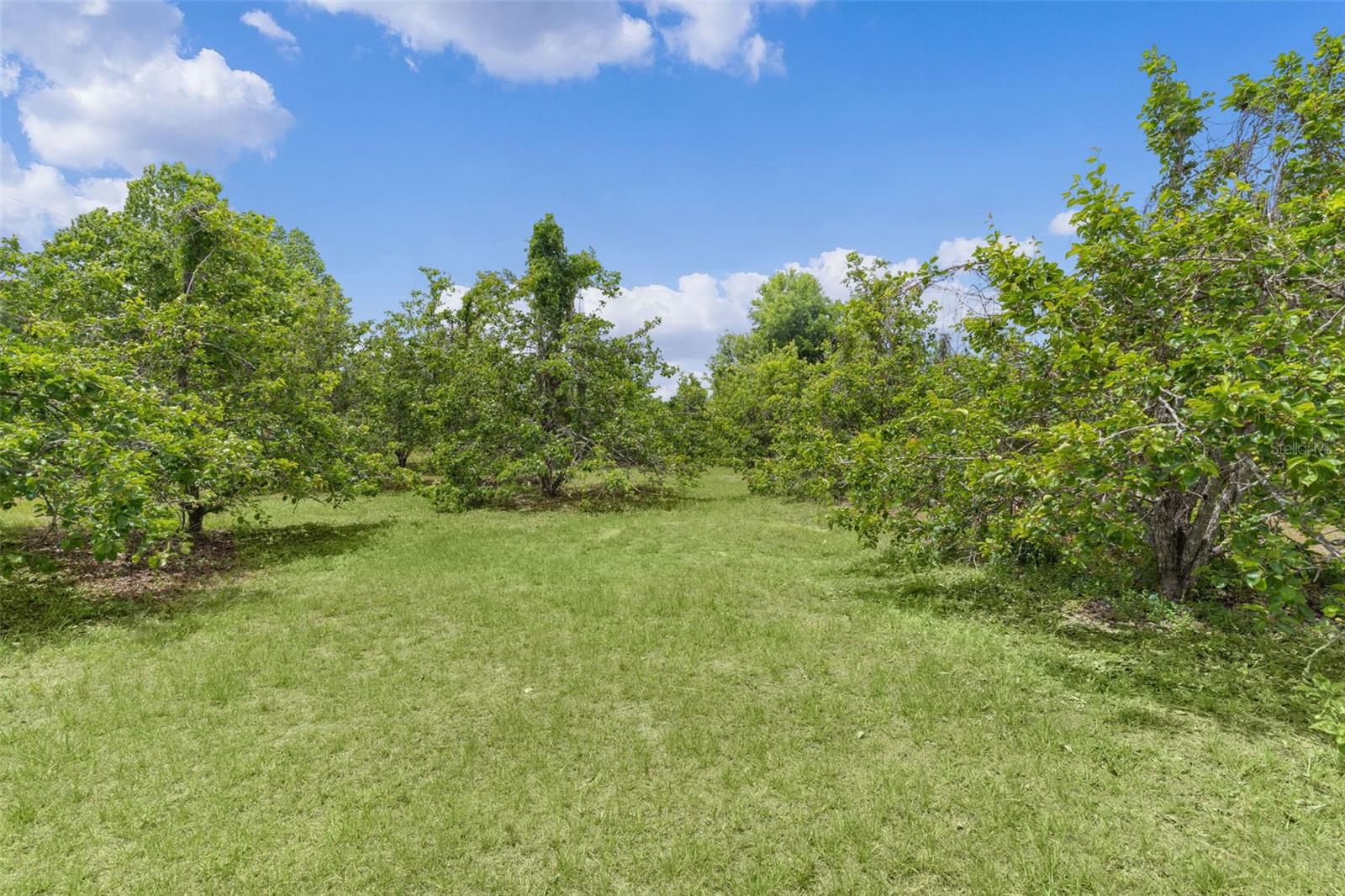 5946 SR 471, BUSHNELL, FL, 33513