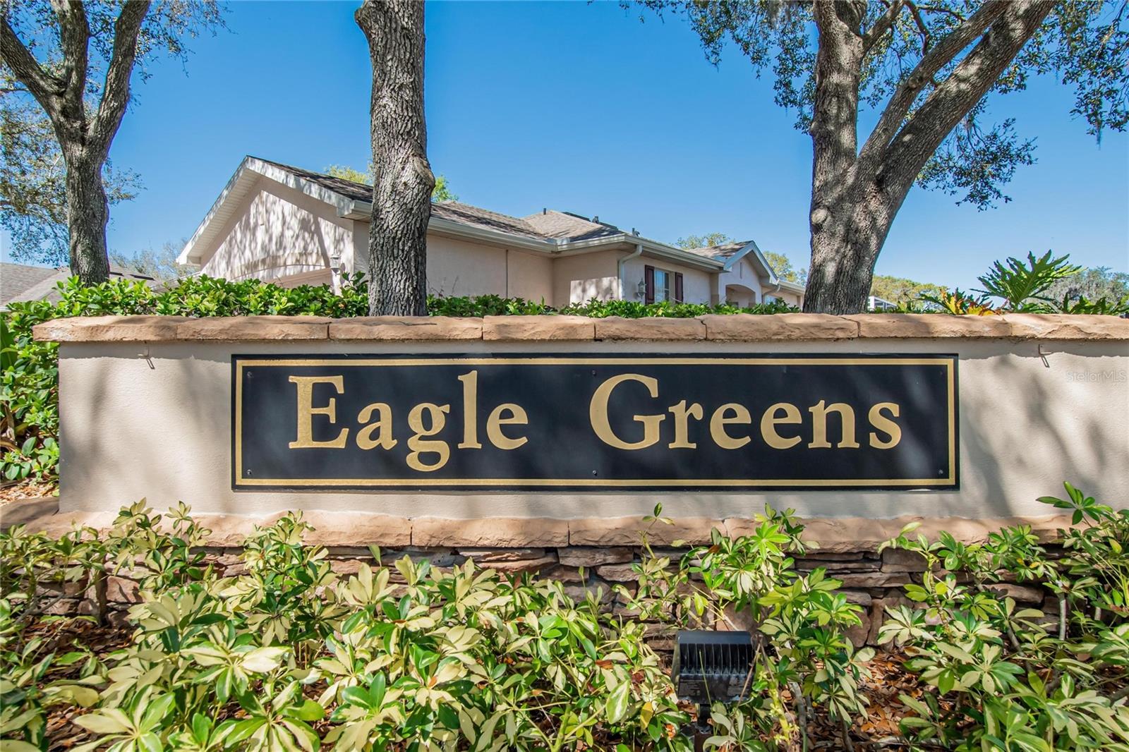 2631 EAGLE GREENS DR #16, PLANT CITY, FL, 33566