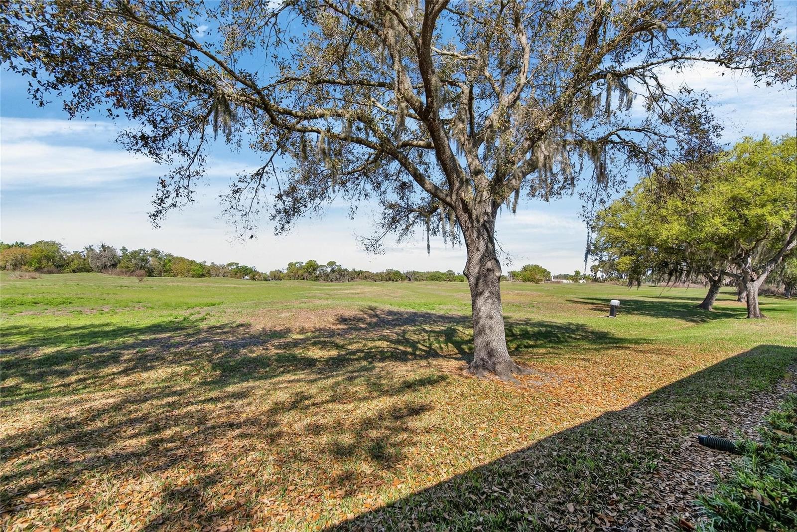 2631 EAGLE GREENS DR #16, PLANT CITY, FL, 33566