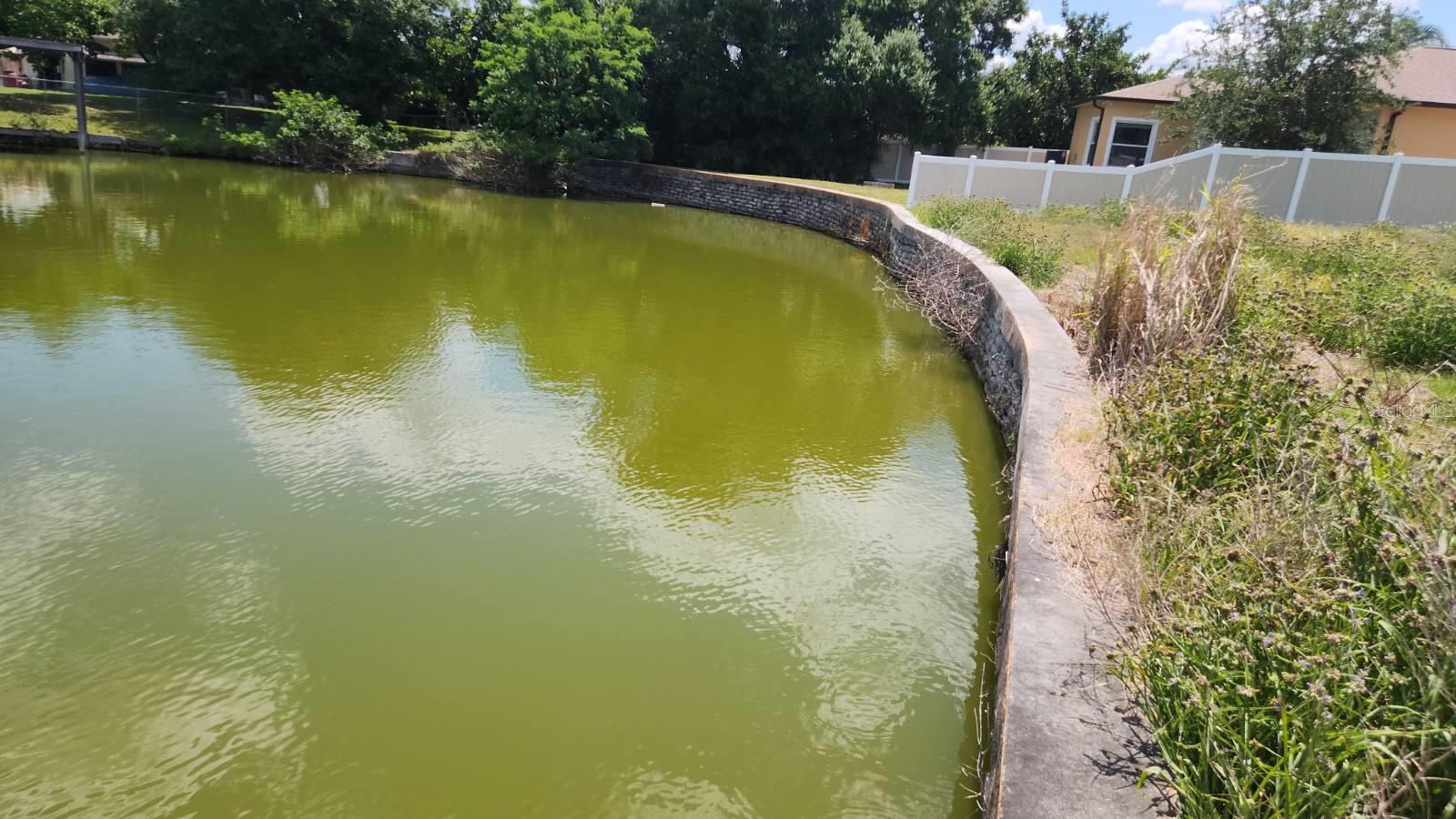 3143 JACKSON DR, HOLIDAY, FL, 34691