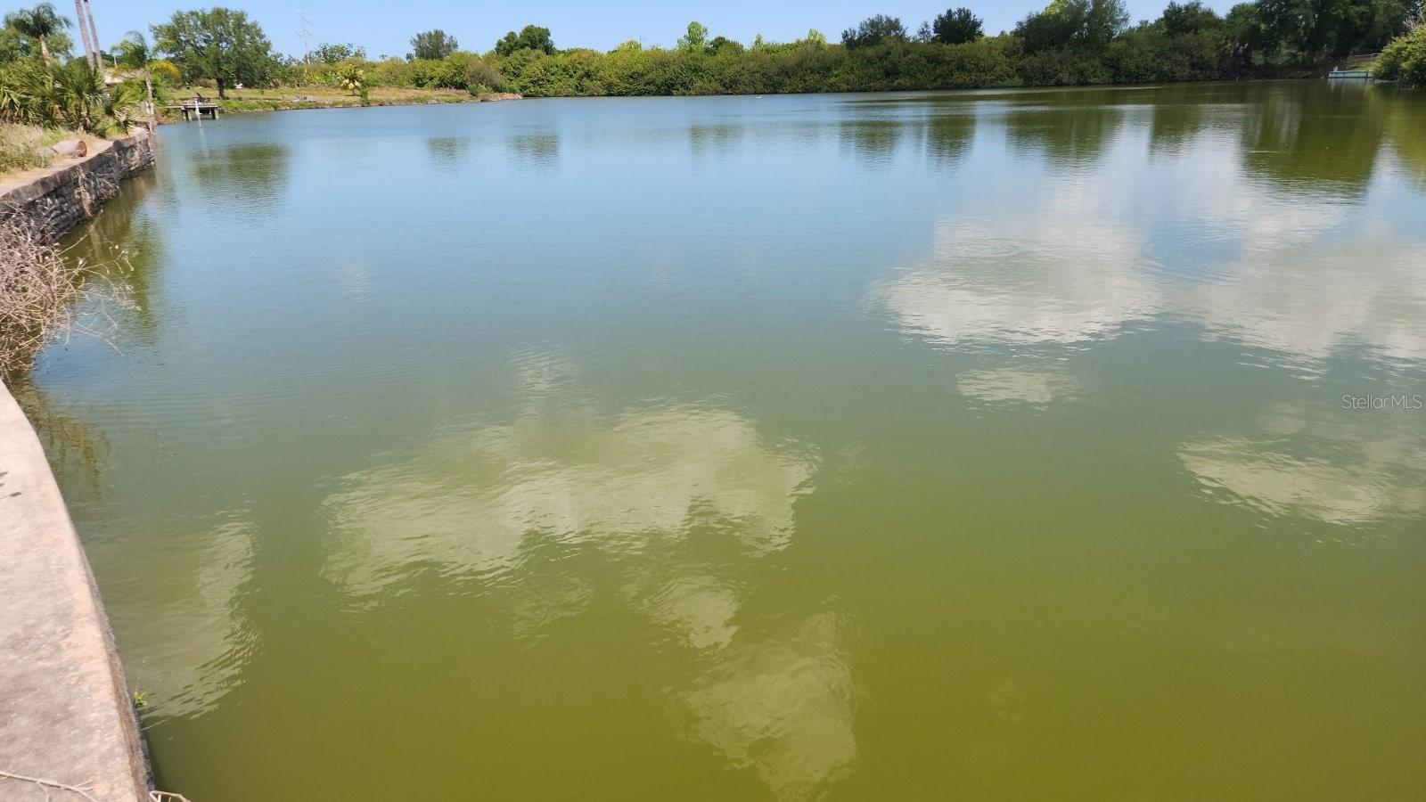 3143 JACKSON DR, HOLIDAY, FL, 34691