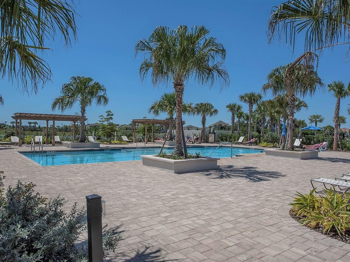 6168 GOLDEN NETTLE DR, APOLLO BEACH, FL, 33572