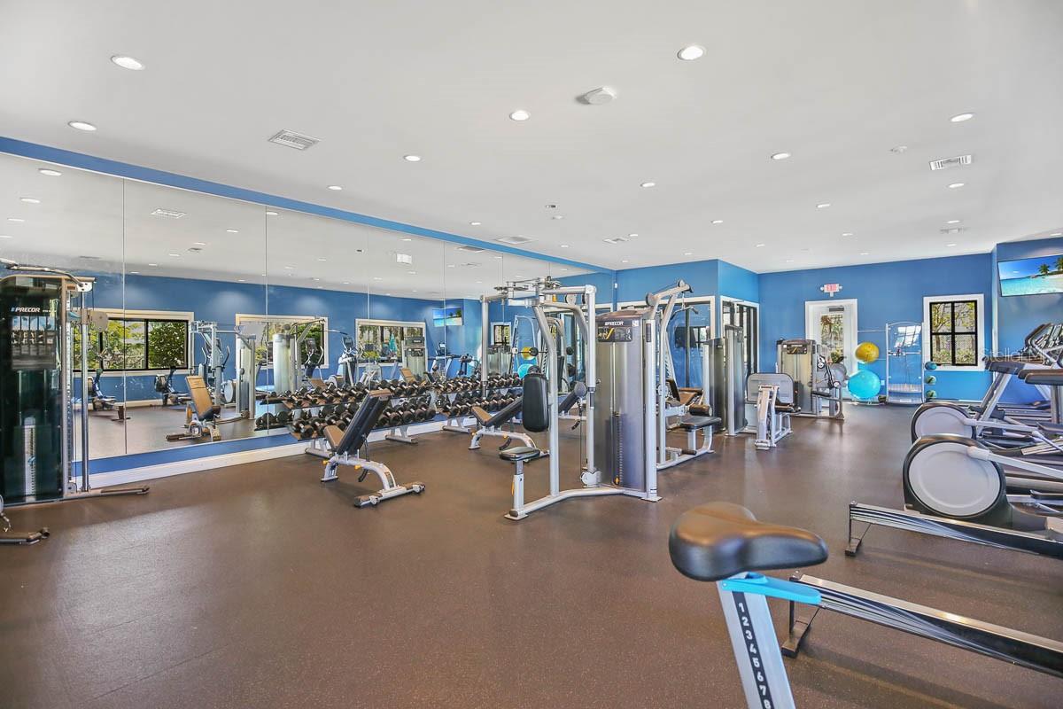 6168 GOLDEN NETTLE DR, APOLLO BEACH, FL, 33572
