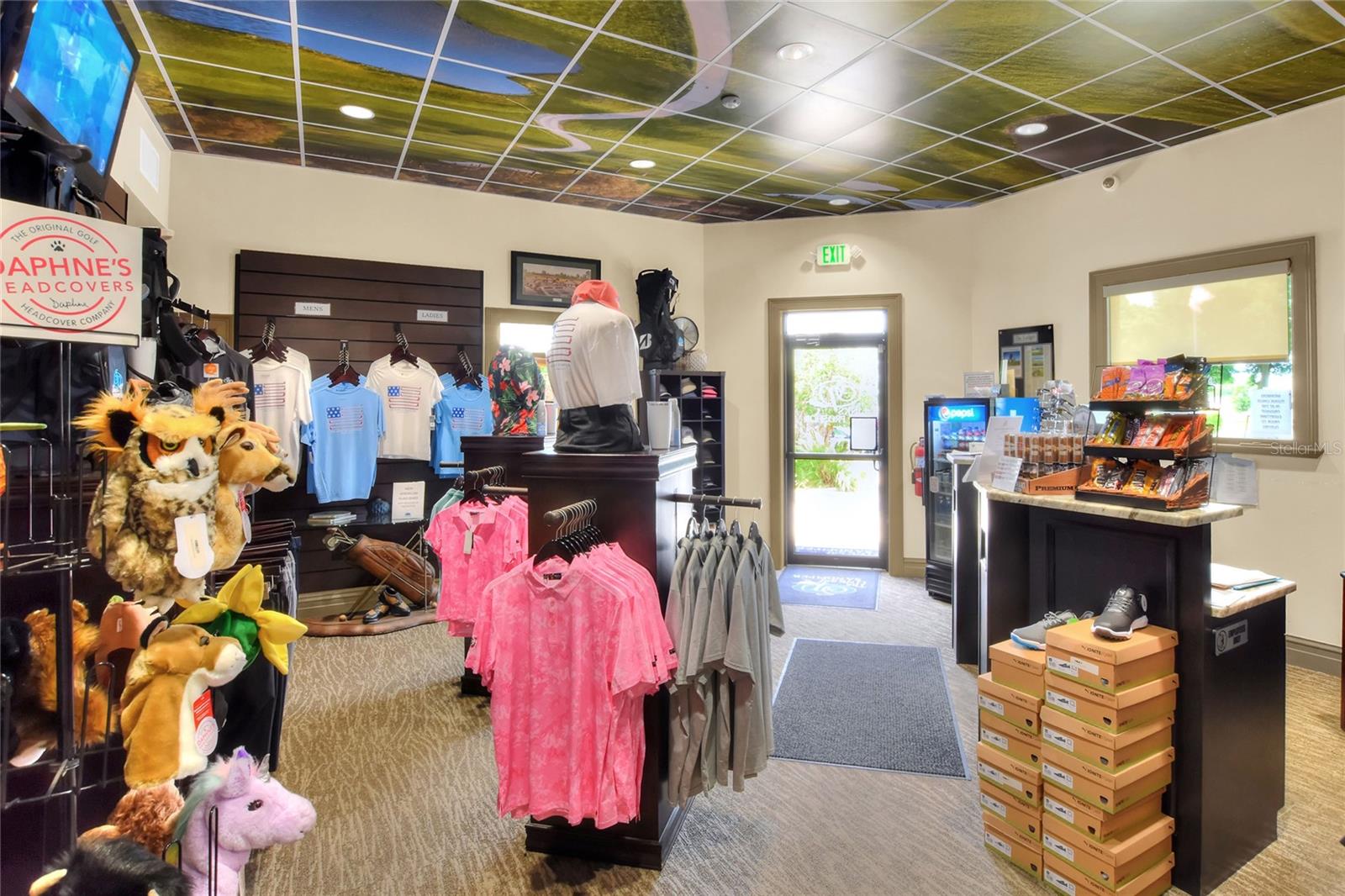 6101 MAGPIE DR, LAKELAND, FL, 33809