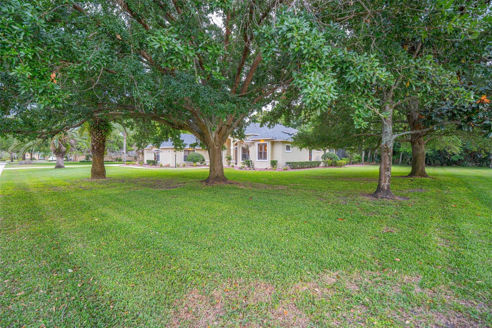 744 BARROWS DAIRY RD, PORT ORANGE, FL, 32127