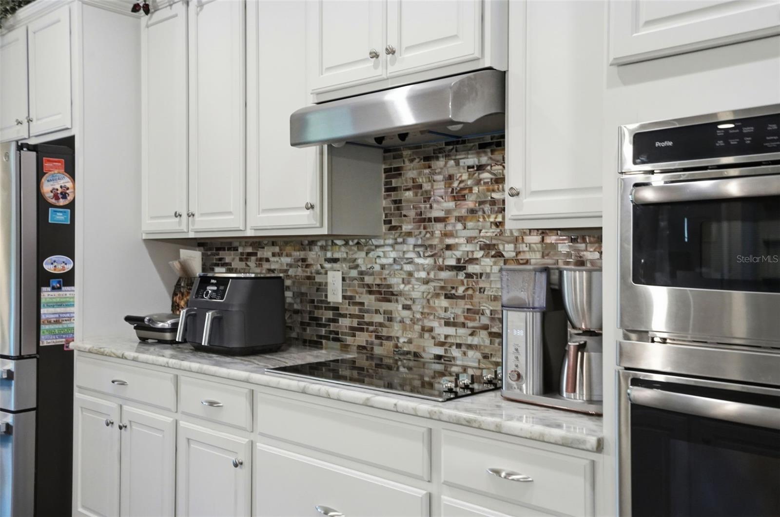 14100 BASSINGTHORPE DR, SPRING HILL, FL, 34609