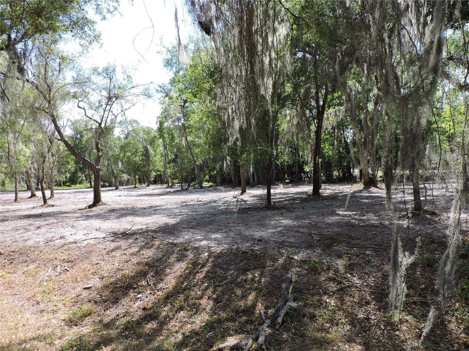 COUNTY ROAD 309, CRESCENT CITY, FL, 32112