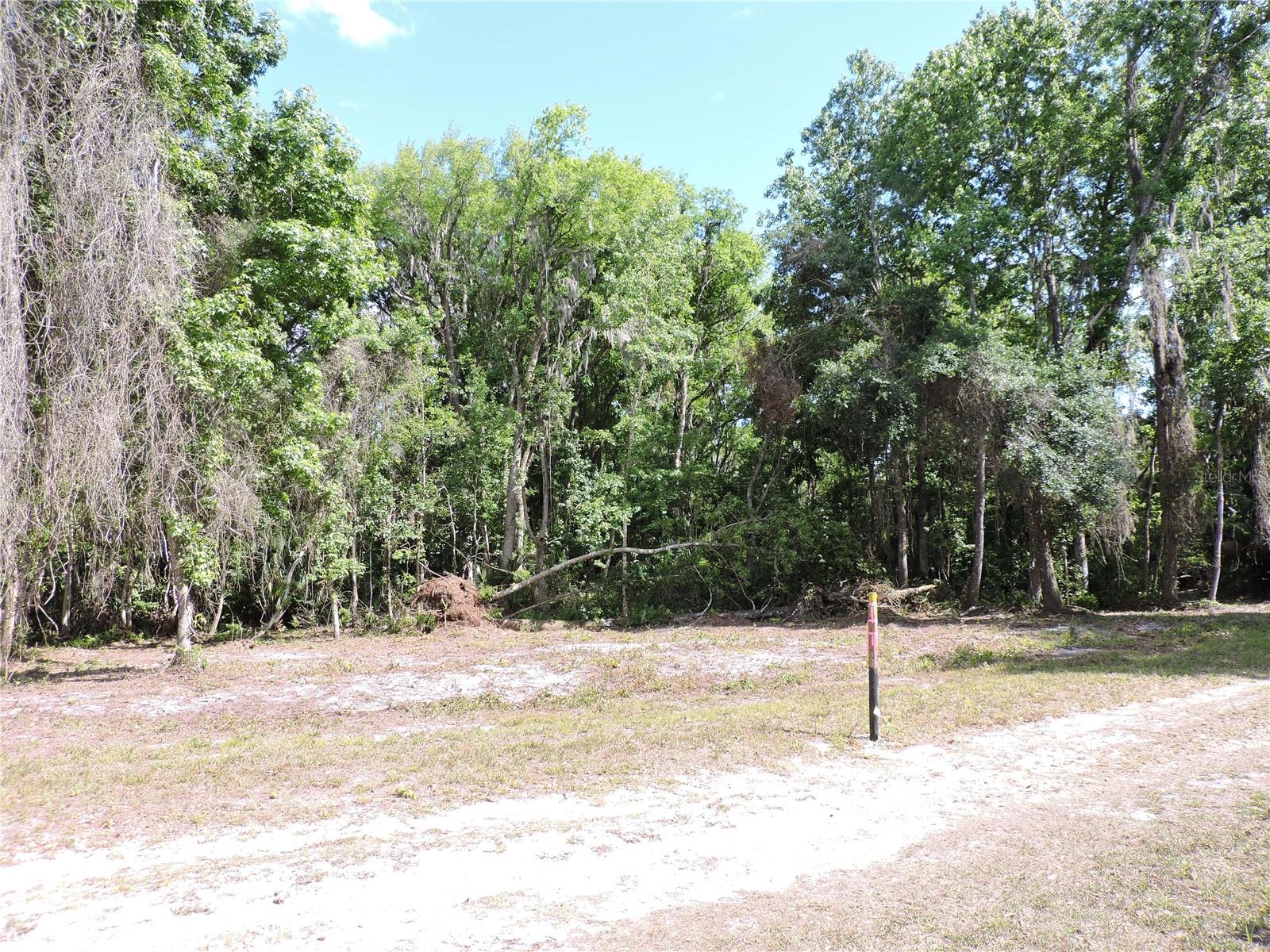 COUNTY ROAD 309, CRESCENT CITY, FL, 32112