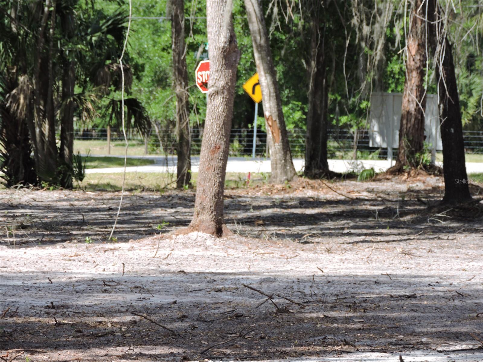 COUNTY ROAD 309, CRESCENT CITY, FL, 32112