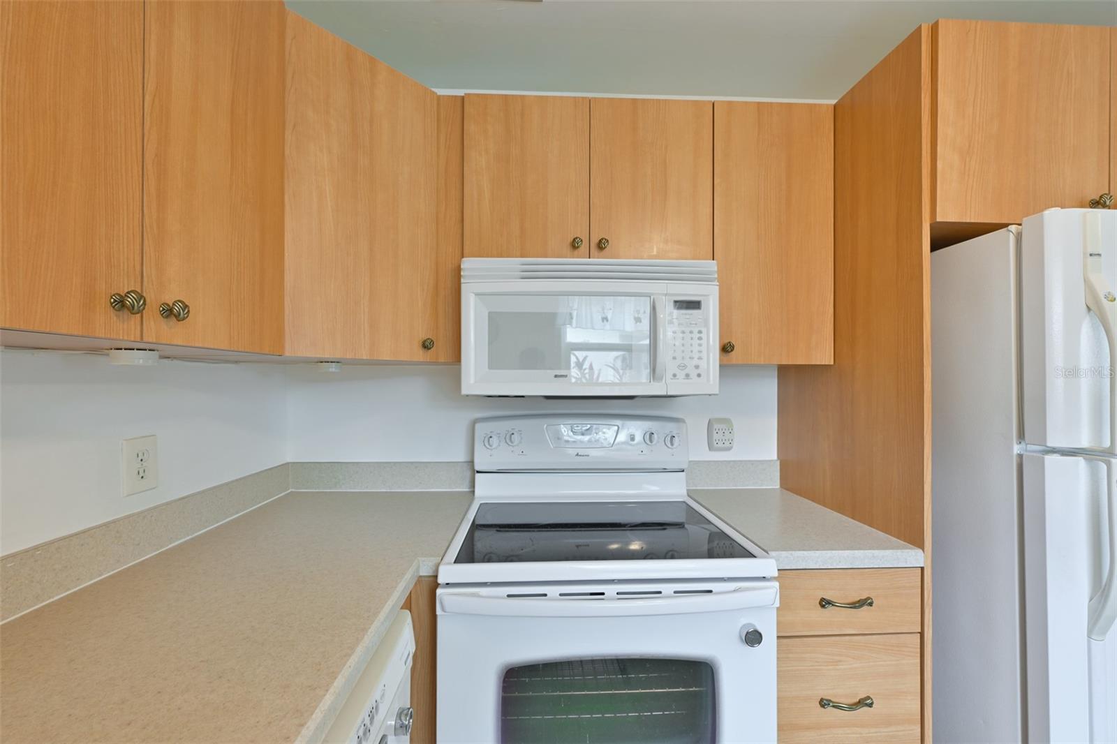 2202 CLUBHOUSE DR #169, SUN CITY CENTER, FL, 33573