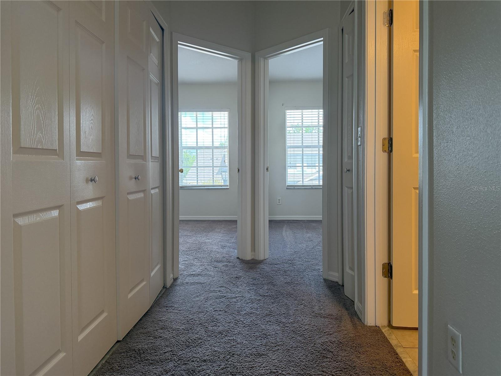 6244 OLIVEDALE DR, RIVERVIEW, FL, 33578