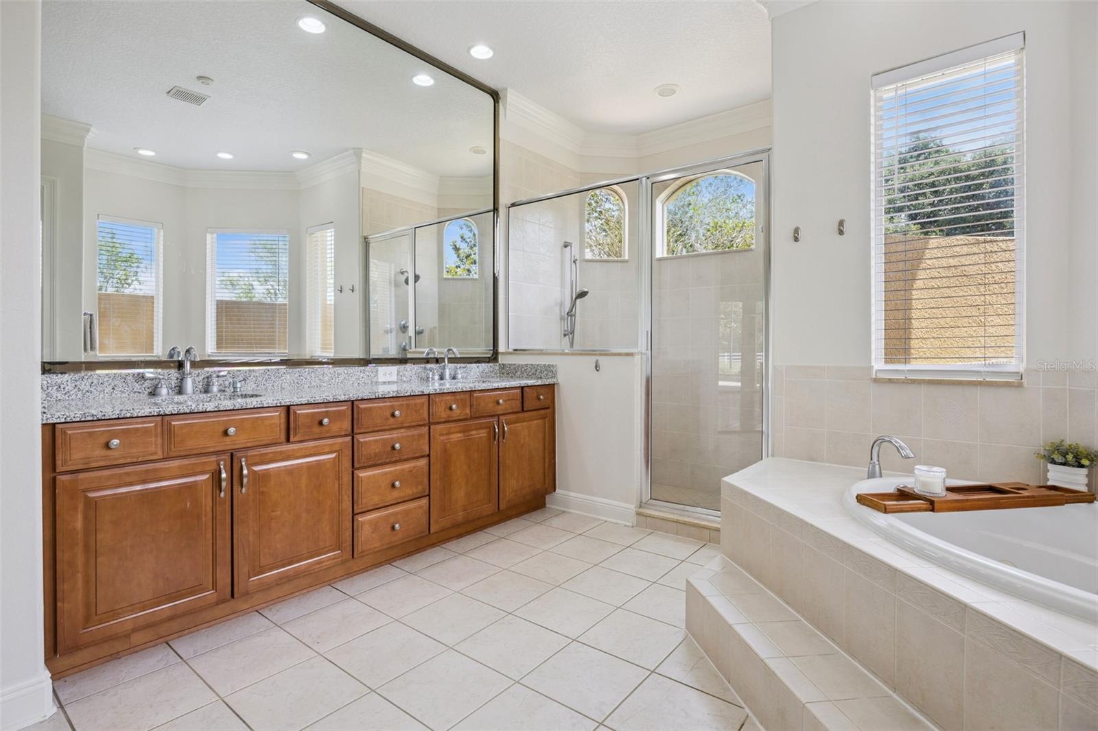 19503 EAGLE RUN, GROVELAND, FL, 34736
