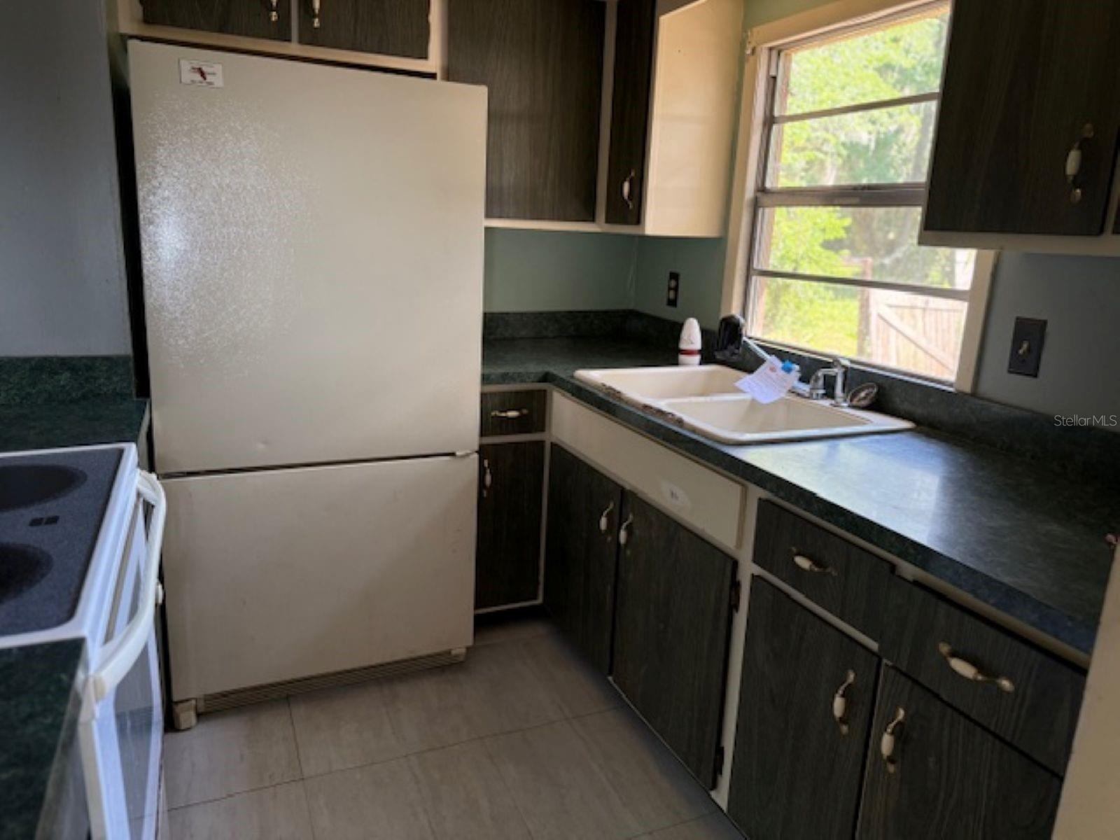 3189 CR 419, LAKE PANASOFFKEE, FL, 33538
