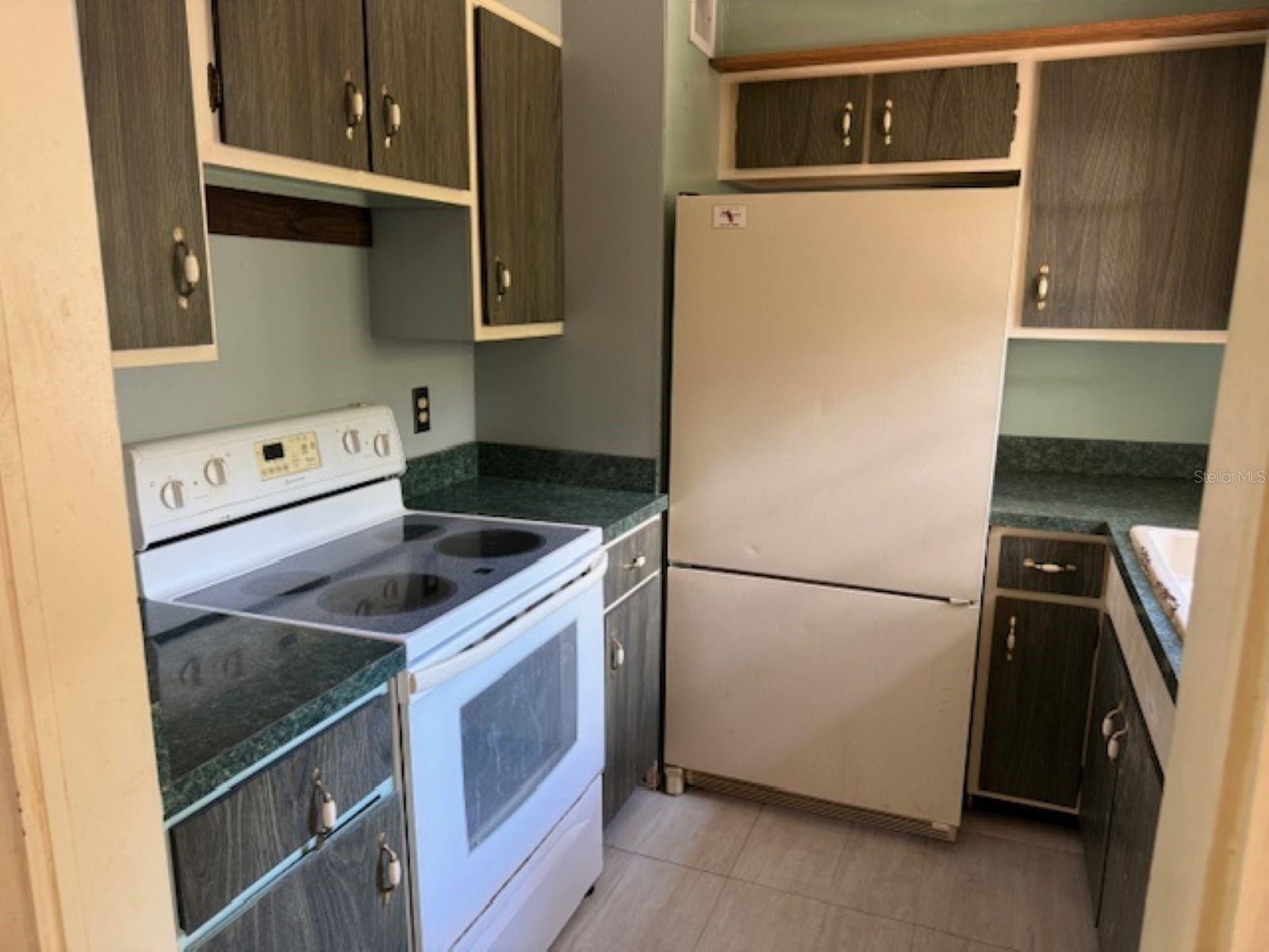 3189 CR 419, LAKE PANASOFFKEE, FL, 33538