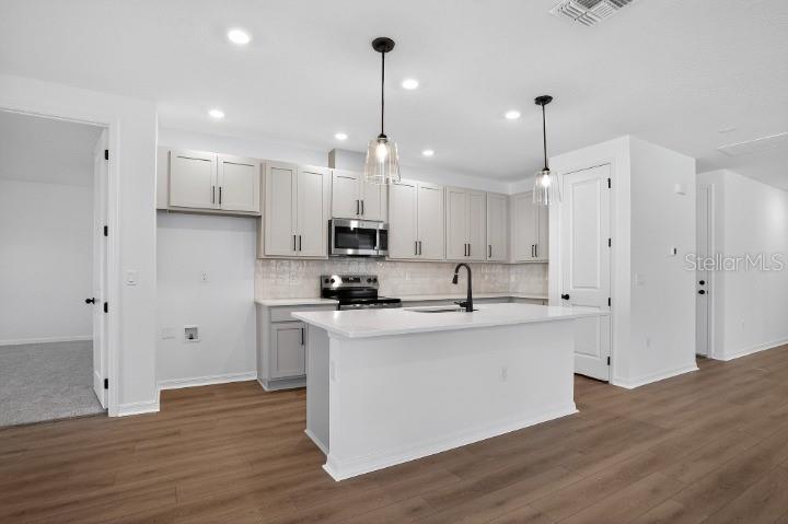 30131 EMERALD FOREST DR, MOUNT DORA, FL, 32757