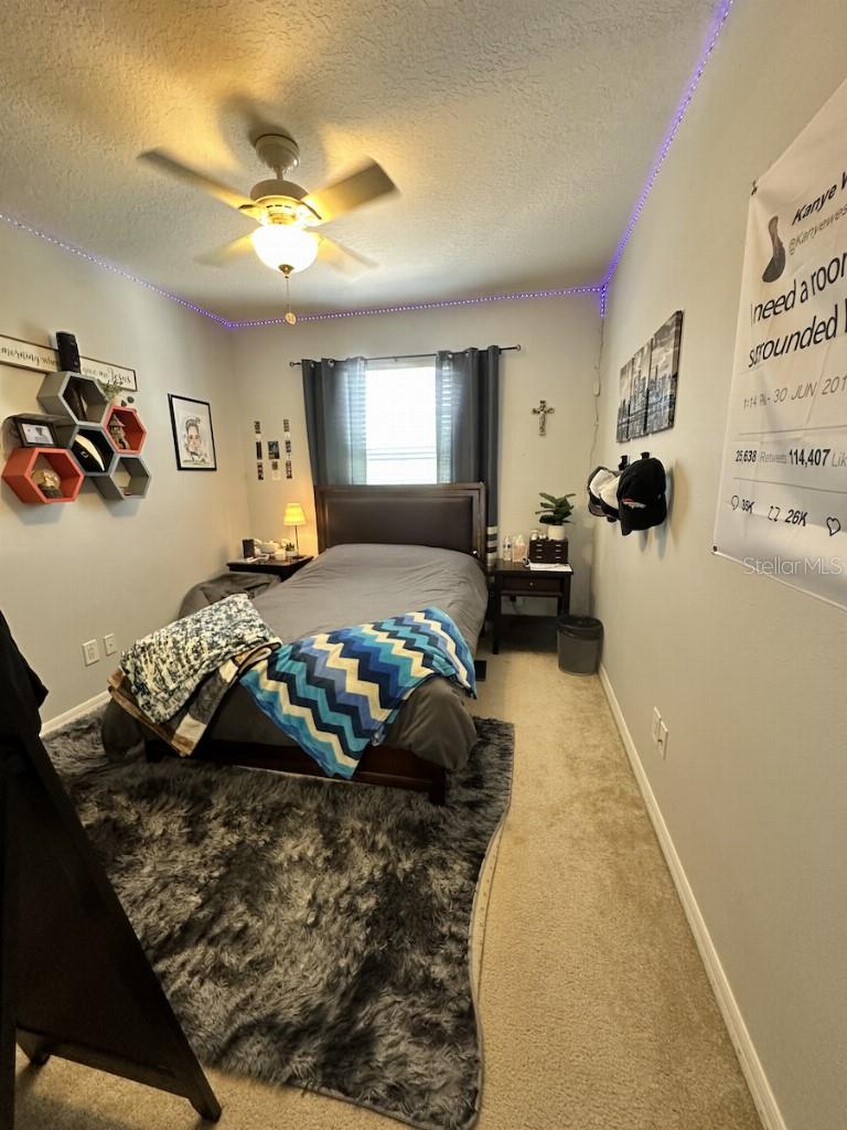 11107 GREEN PARK CIR, TAMPA, FL, 33626