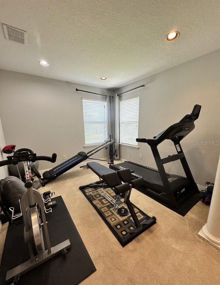 11107 GREEN PARK CIR, TAMPA, FL, 33626