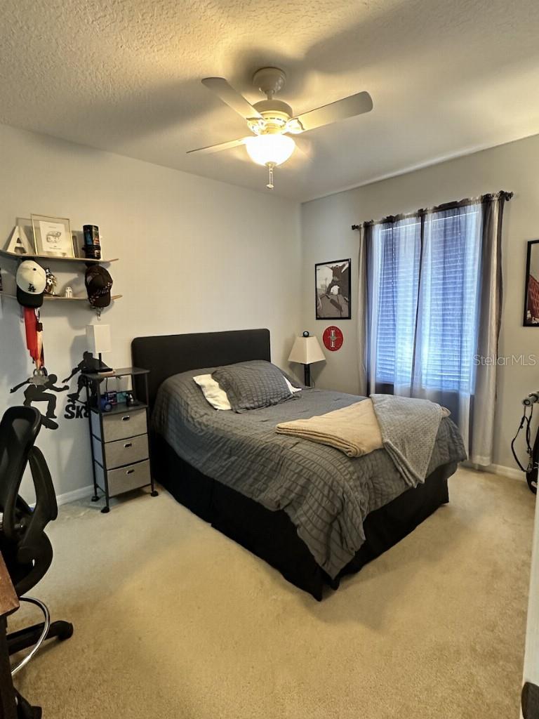 11107 GREEN PARK CIR, TAMPA, FL, 33626