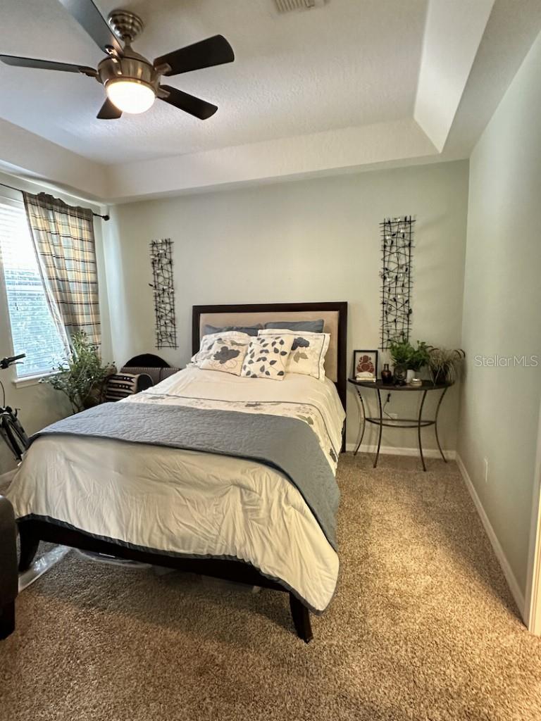 11107 GREEN PARK CIR, TAMPA, FL, 33626