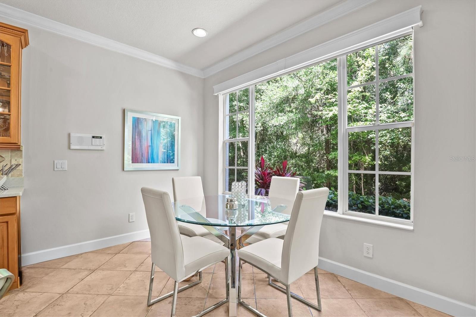 14637 MIRABELLE VISTA CIR, TAMPA, FL, 33626