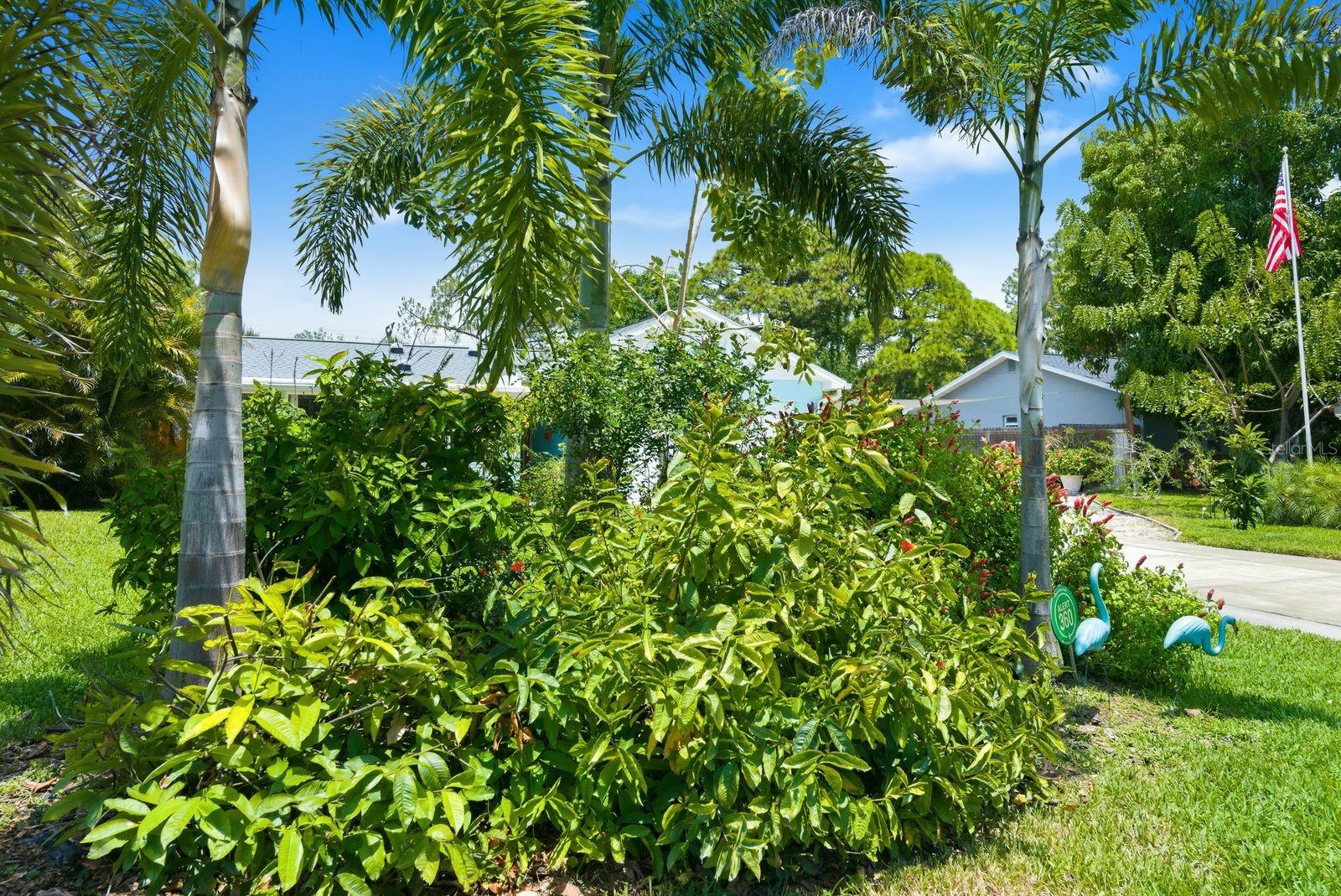 2221 CORONADA WAY S, ST PETERSBURG, FL, 33712