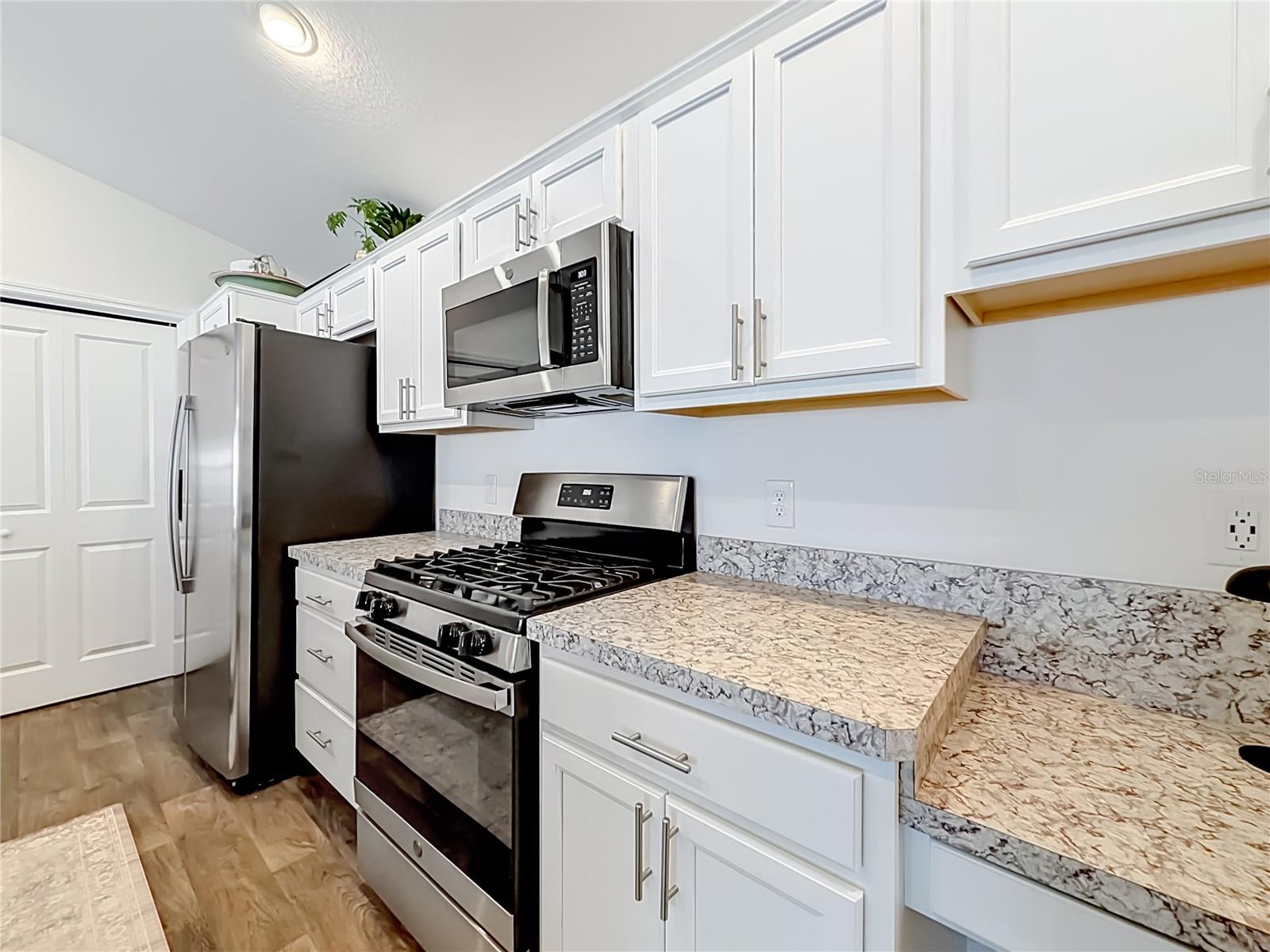 6231 ATKINSON LN, THE VILLAGES, FL, 32163