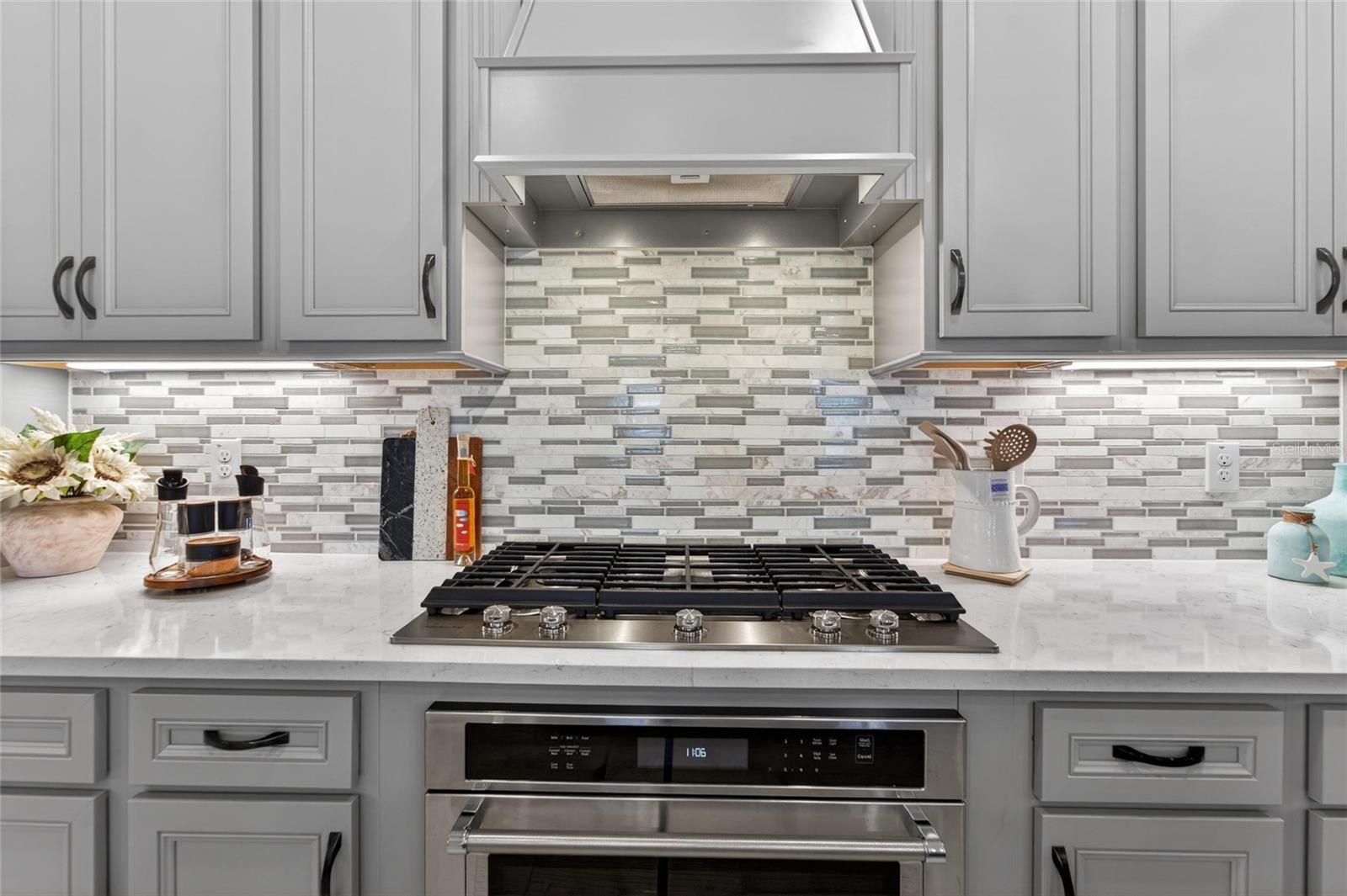 18752 HORIZON VIEW PT, LAND O LAKES, FL, 34638