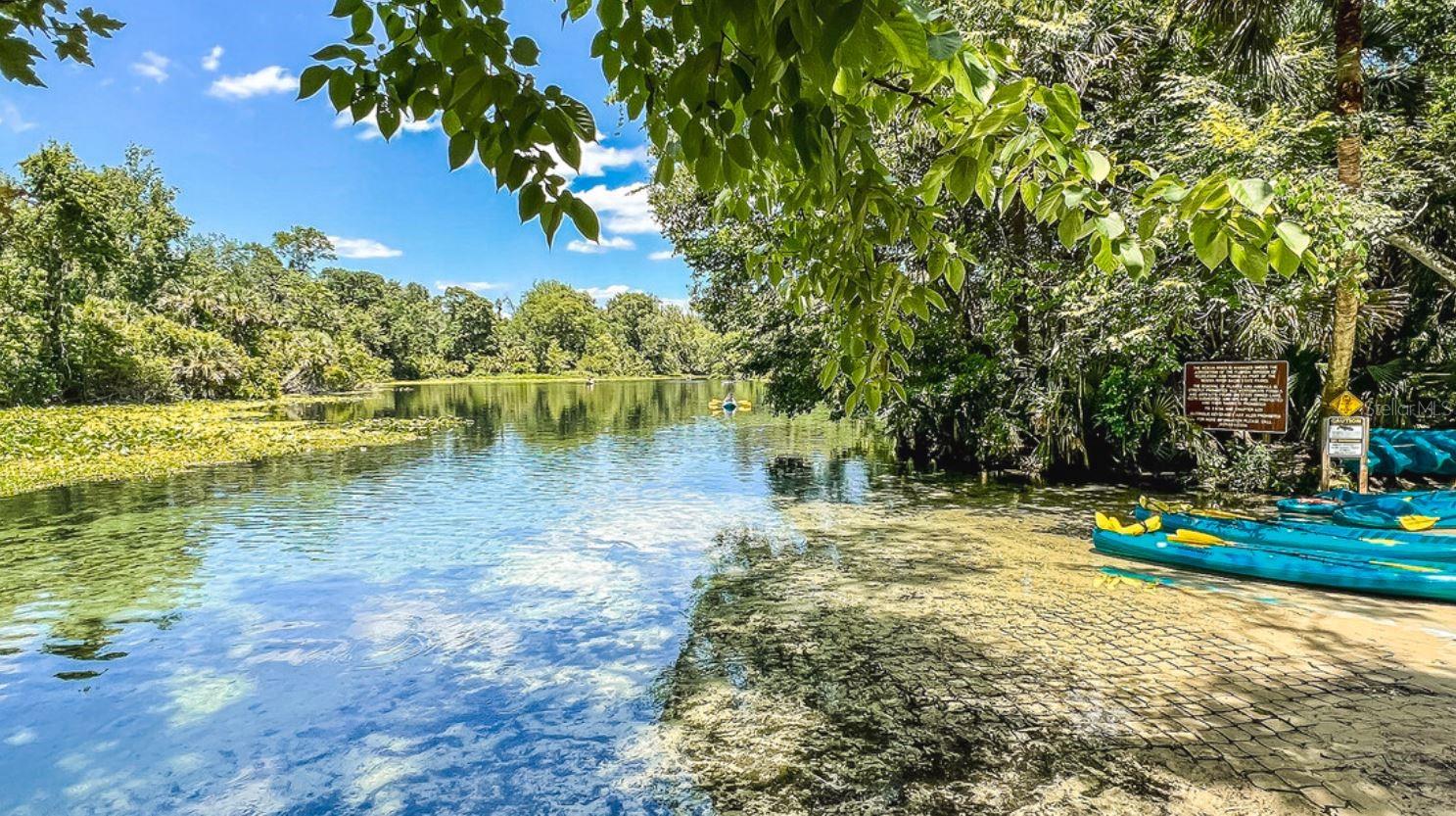 2579 LONG PINE AVE, APOPKA, FL, 32712