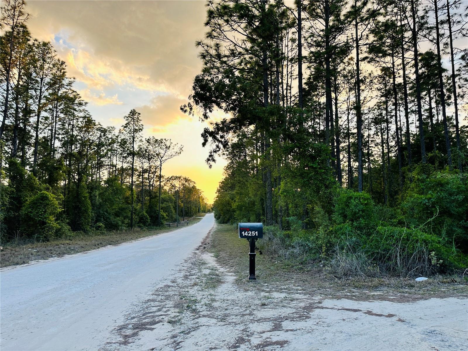 14251 SE 21ST PL, MORRISTON, FL, 32668