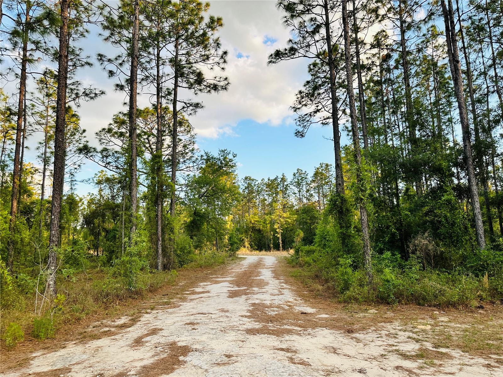 14251 SE 21ST PL, MORRISTON, FL, 32668