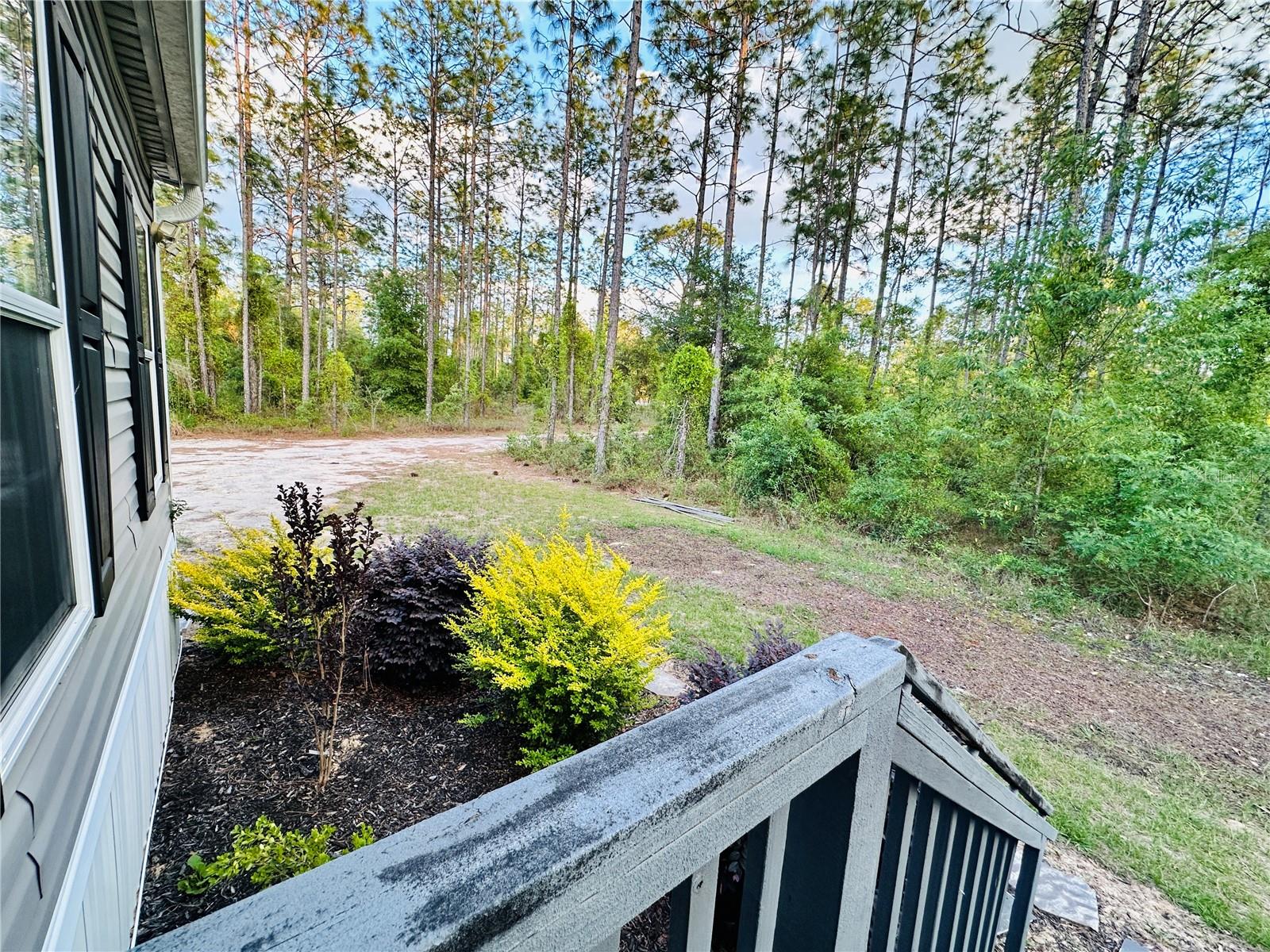 14251 SE 21ST PL, MORRISTON, FL, 32668