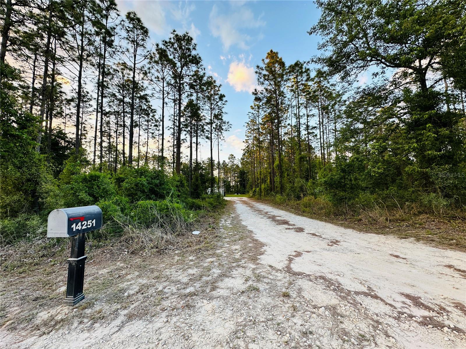 14251 SE 21ST PL, MORRISTON, FL, 32668