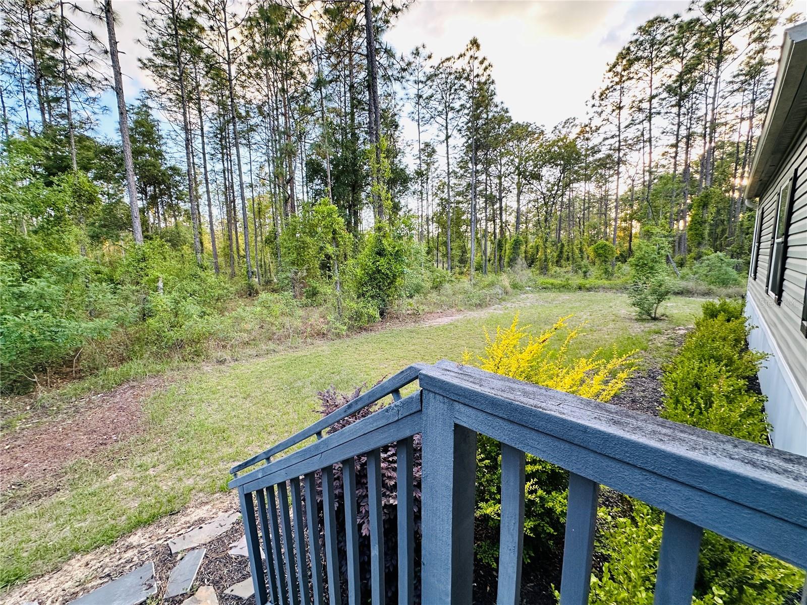 14251 SE 21ST PL, MORRISTON, FL, 32668