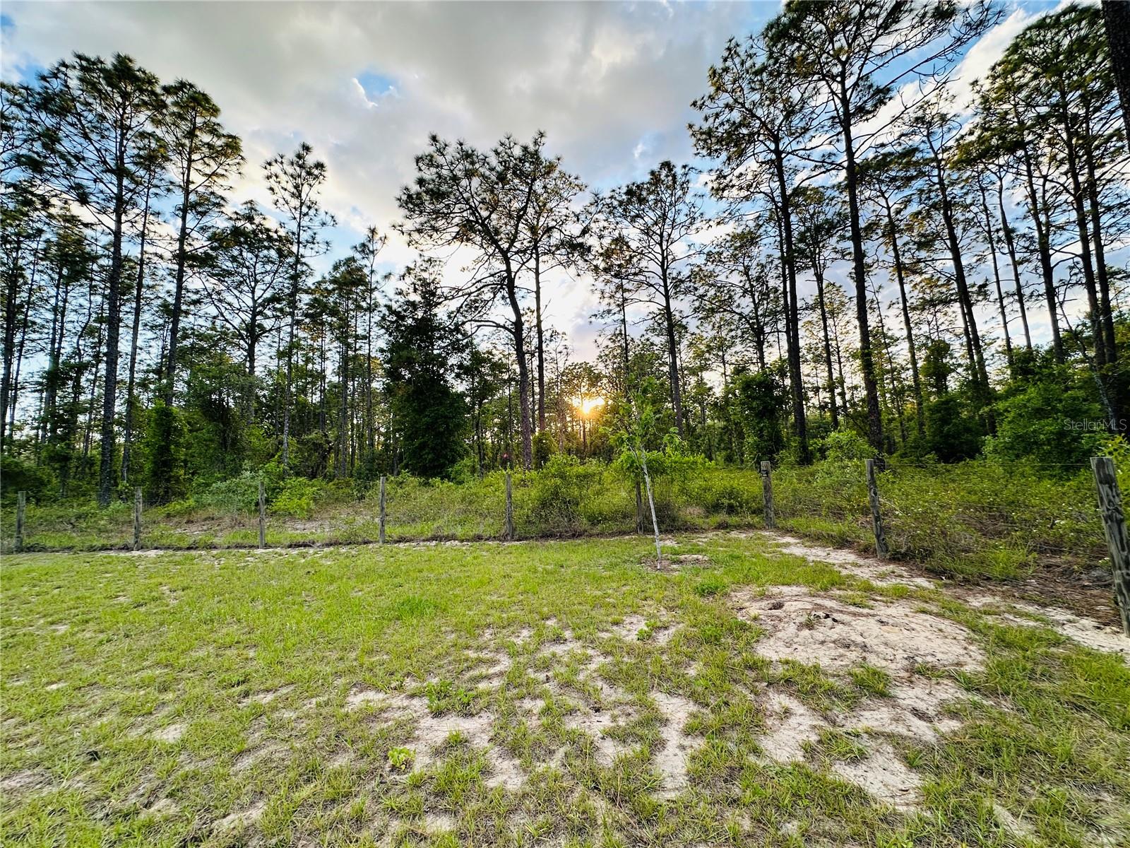 14251 SE 21ST PL, MORRISTON, FL, 32668