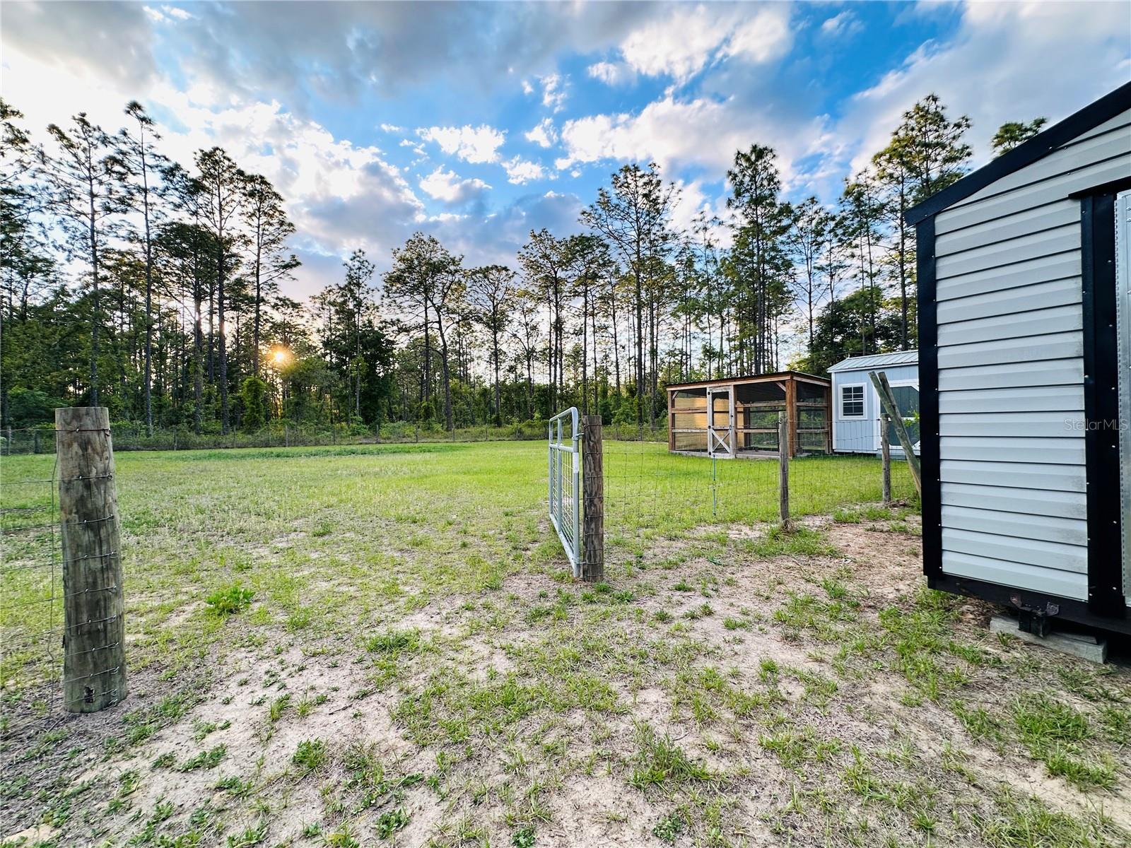 14251 SE 21ST PL, MORRISTON, FL, 32668