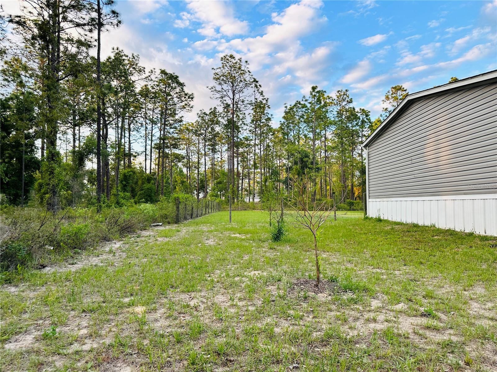 14251 SE 21ST PL, MORRISTON, FL, 32668