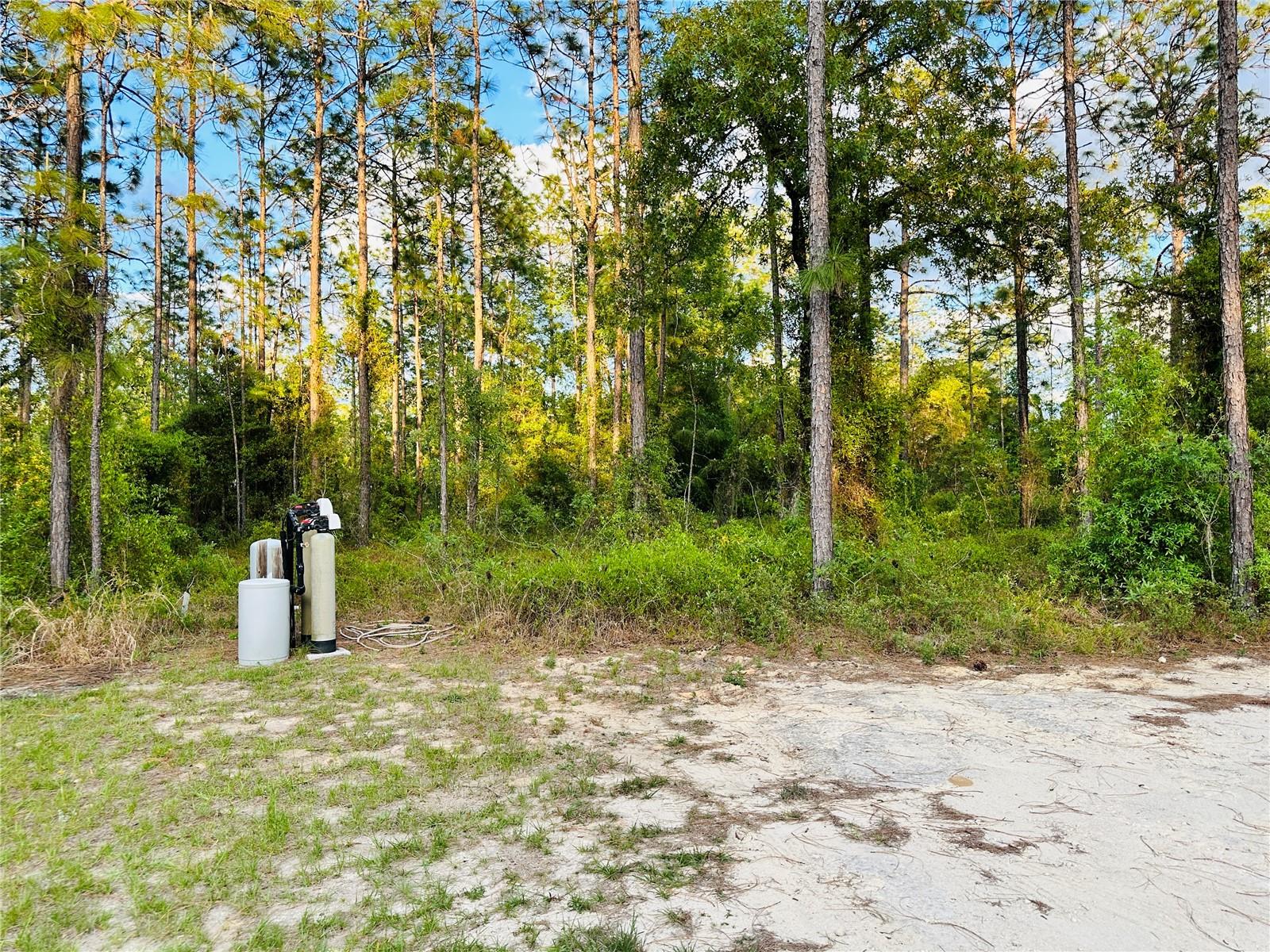 14251 SE 21ST PL, MORRISTON, FL, 32668