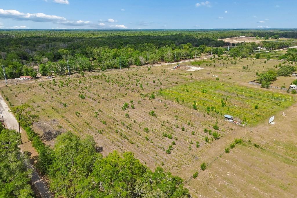 14320 FAMILY TRL, HUDSON, FL, 34669