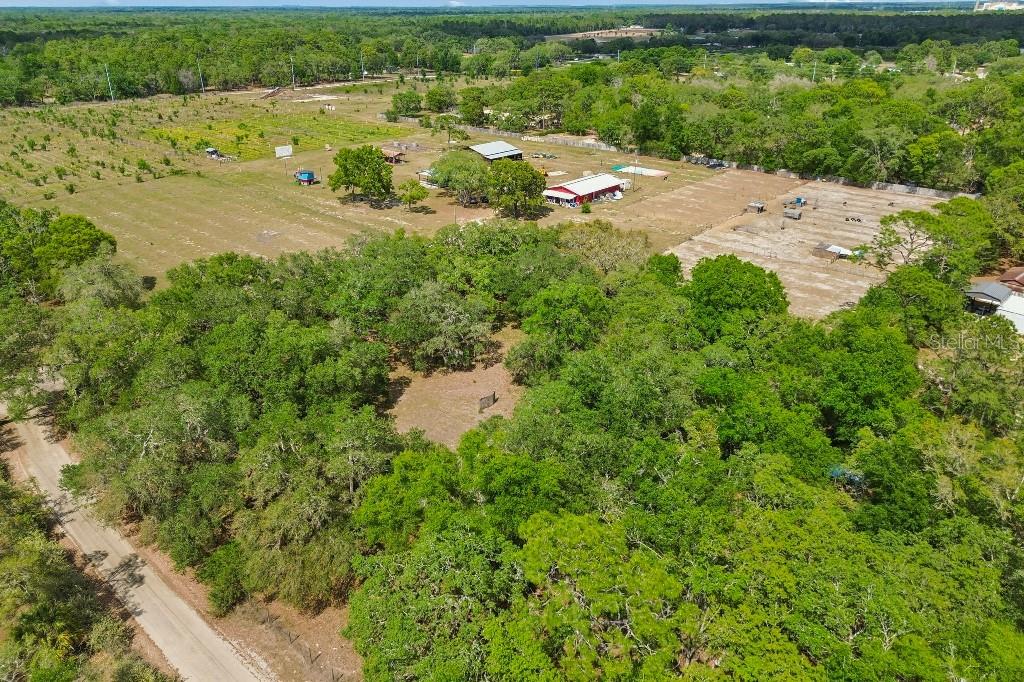 14320 FAMILY TRL, HUDSON, FL, 34669