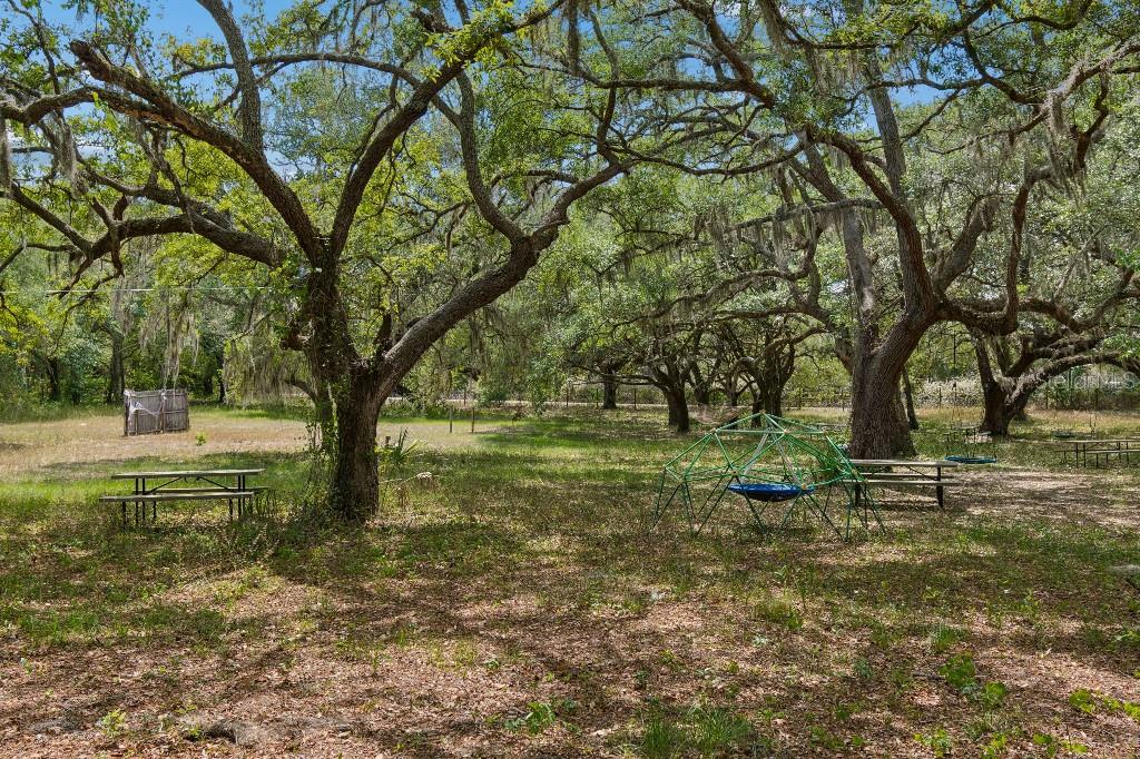 14320 FAMILY TRL, HUDSON, FL, 34669