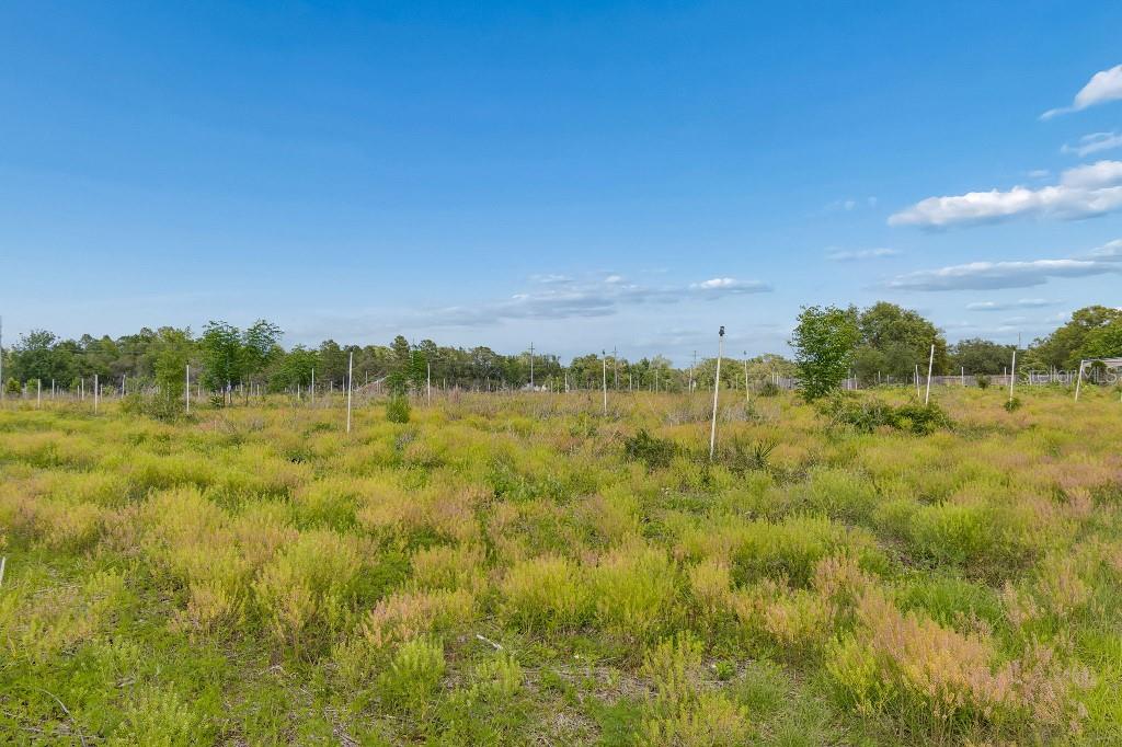 14320 FAMILY TRL, HUDSON, FL, 34669