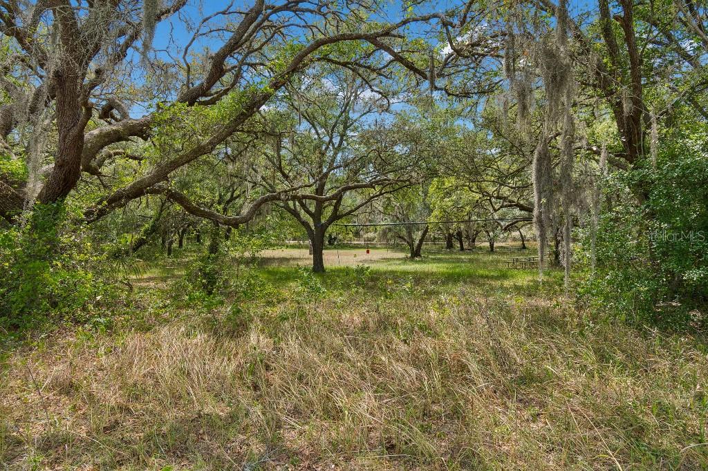 14320 FAMILY TRL, HUDSON, FL, 34669