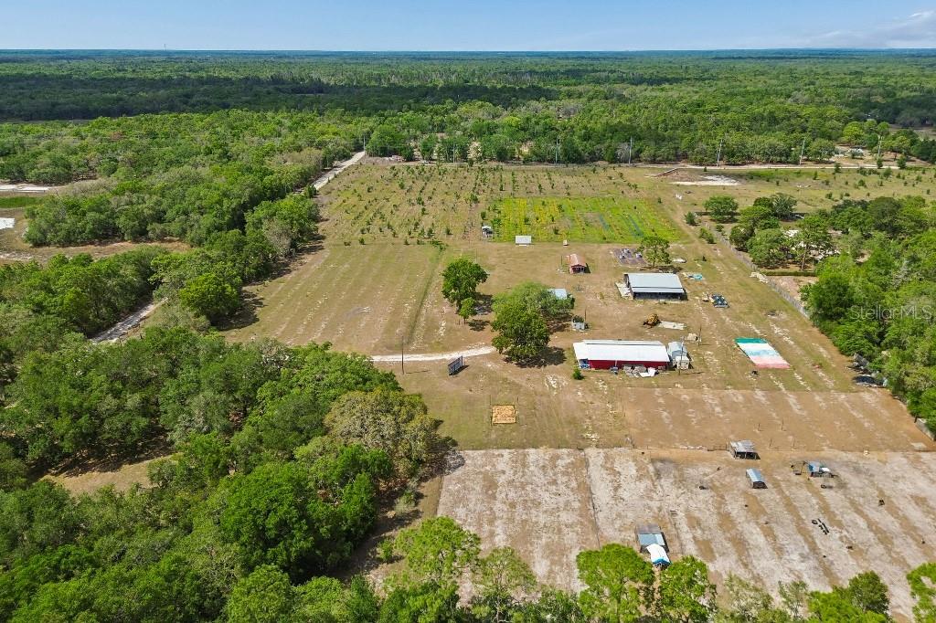 14320 FAMILY TRL, HUDSON, FL, 34669