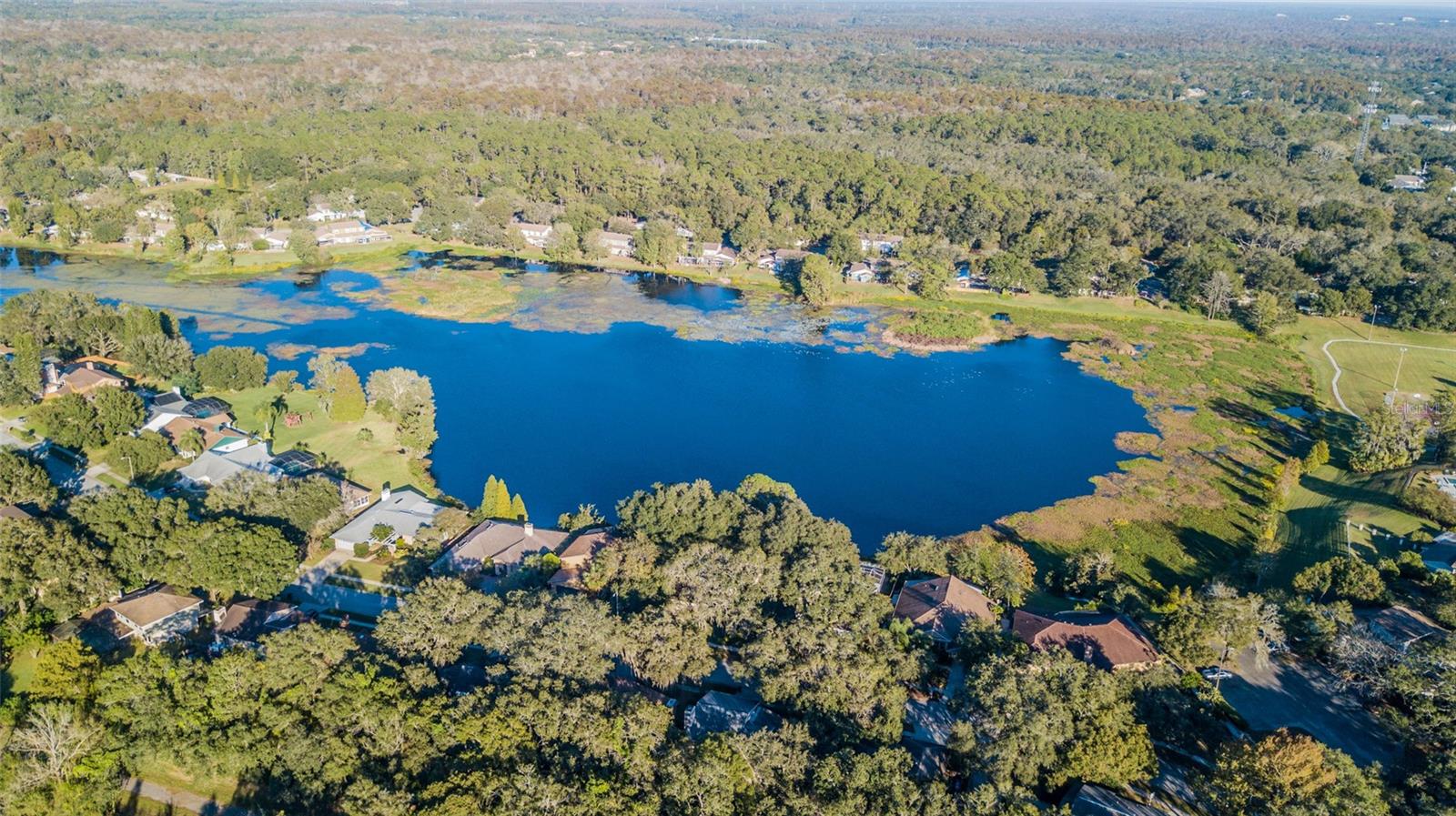 14904 LAKE FOREST DR, LUTZ, FL, 33559