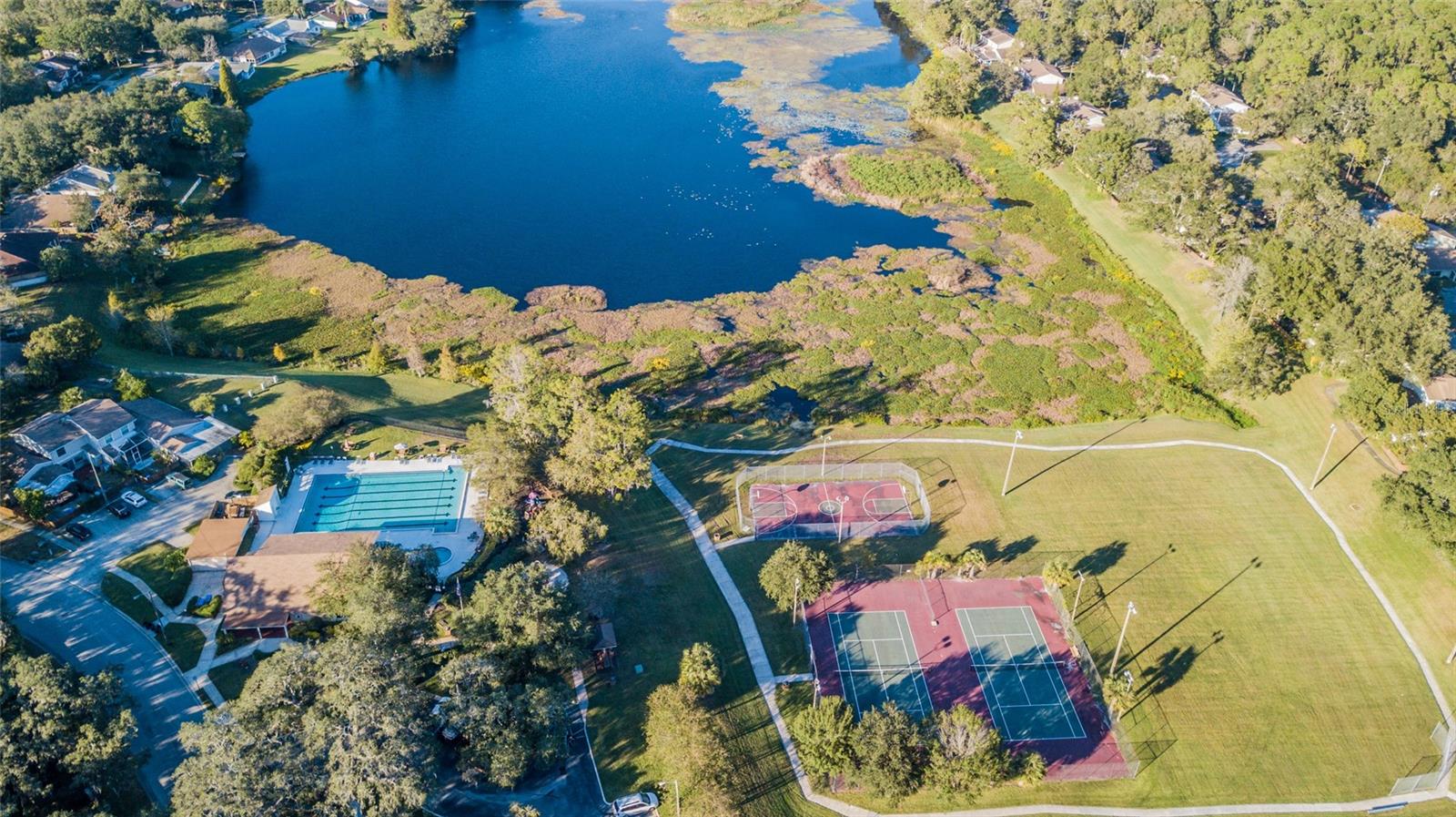 14904 LAKE FOREST DR, LUTZ, FL, 33559