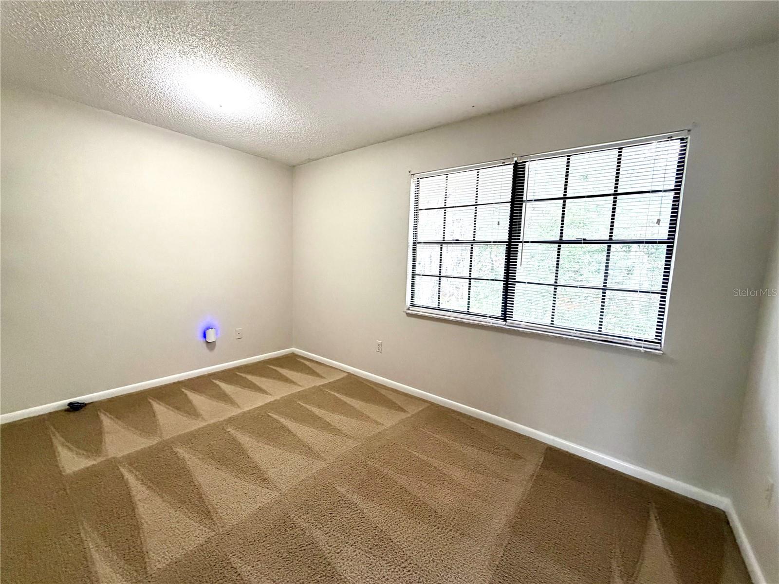 14904 LAKE FOREST DR, LUTZ, FL, 33559